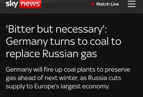 Screenshot_20250217-124333_Brave