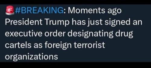 IMG_20250217_143949_511