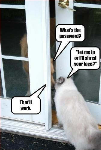 d059af8ae1ed66ffd5d60f0d73a9a621