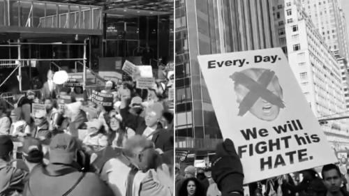 illegal alien protests