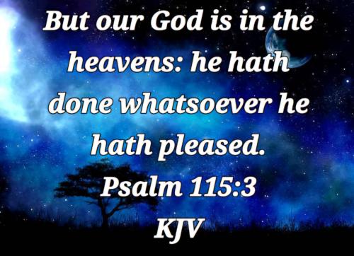 cbd62719-211e-42c4-8c25-a518132fde6e