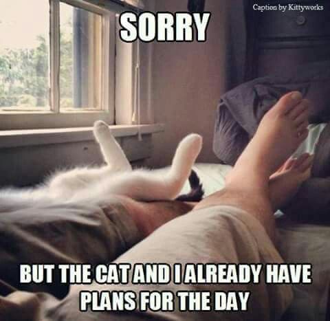 5020d8c100e2b838edd378419ddfa396