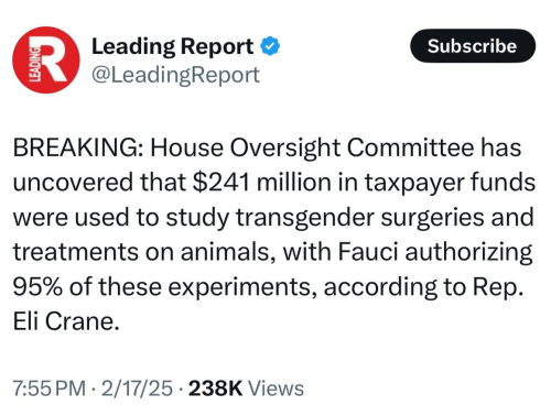 2b02afaf7076a8cc366a0b811b38ca94