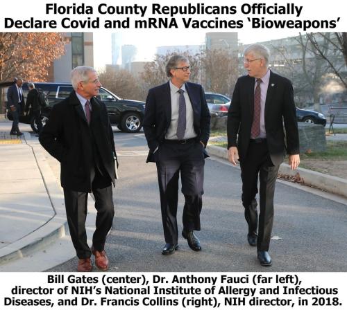 Partners in Crime Arrest Fauci, Gates and Collins.960px