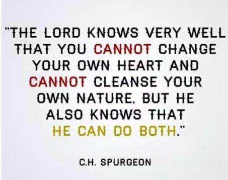 0fec6c7b-1c7b-49ae-9371-2809489470cc