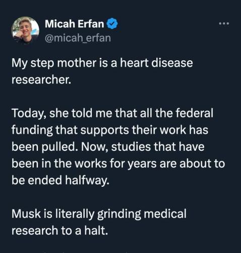 FB_IMG_1739735485344