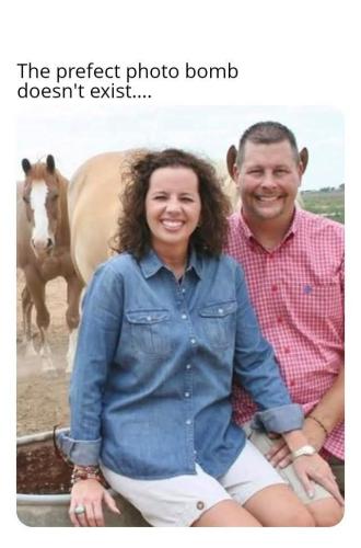 FB_IMG_1739214060139