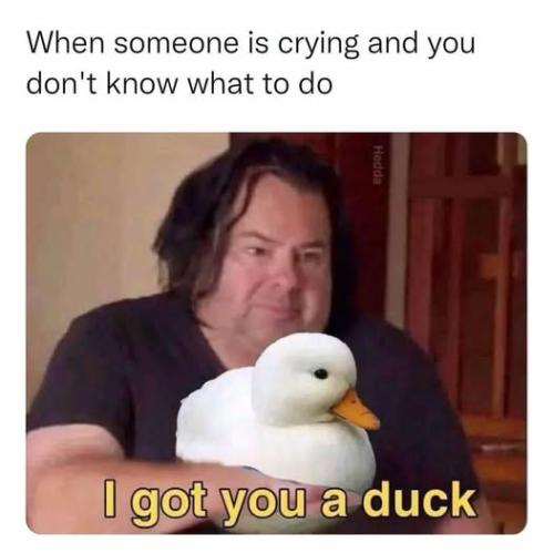 480256547_2035393706954534_7236681765617293482_n