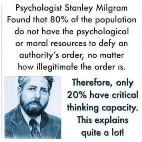 image_2025-02-22_085041473