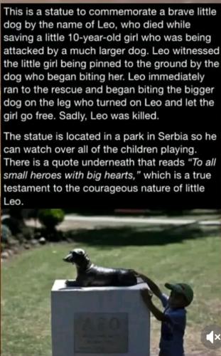 Screenshot_20250211_131126_TikTok