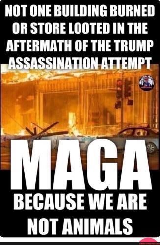 9f280334dded006fc5d6e0826c52983b1543cf429c7939ebc34ed1f674a13e2d_1