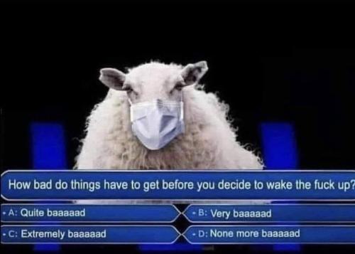 IMG_20250208_194818_745