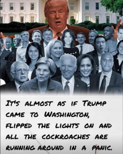 image_2025-02-09_130404032