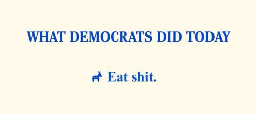 IMG_20250208_072812_452