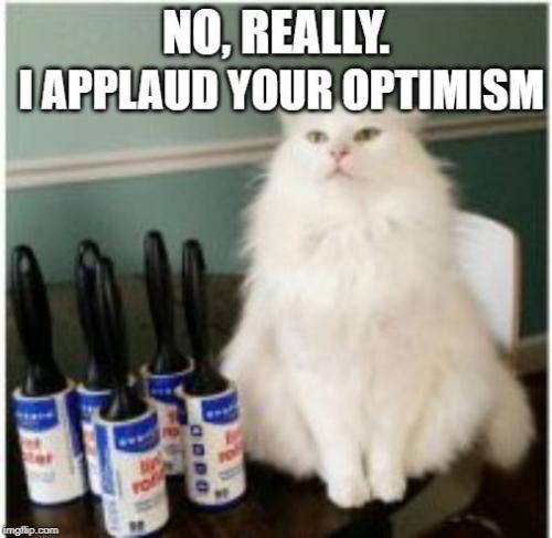 3bc6f83888eb07a4f62462ecb457d72b