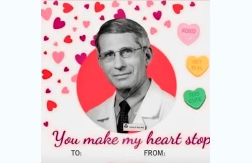 fauci valentine