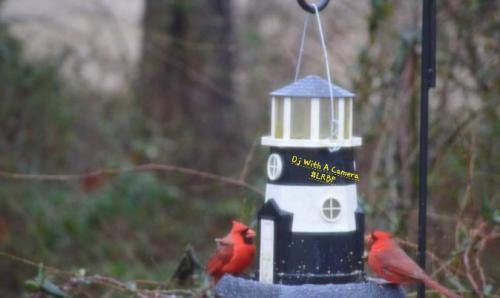 Screenshot_20250218_065122_Gallery