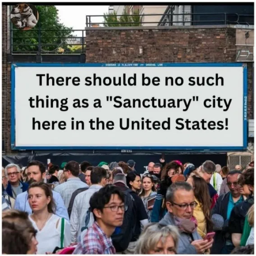 image_2025-02-18_064356420