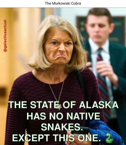 f9beb516bb8d64c1dd7c3a4d60a32b85f1c4b13a56f803952365da2e98e6e11a_1