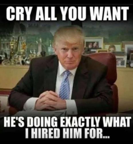 5f599821-96f3-4ef3-96f0-6e8b7a0ecb41