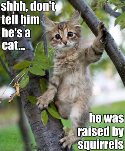 FB_IMG_1738594516996