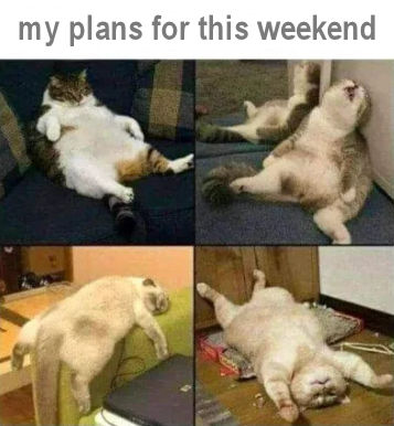 my plans for this weekend