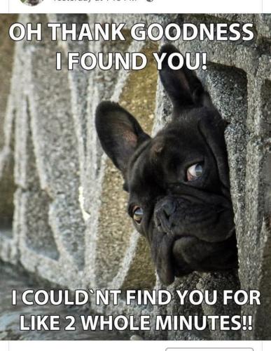 FB_IMG_1739472873940