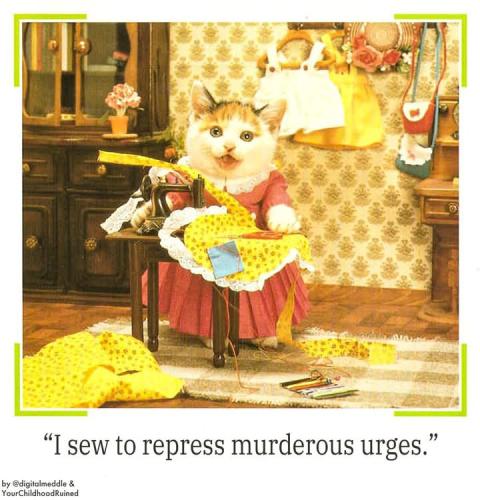 FB_IMG_1740239766406