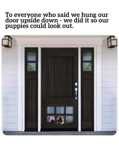 FB_IMG_1740483937931