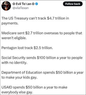 government efficiency33