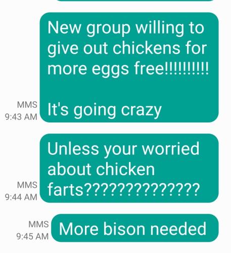 Screenshot_20250201-094627_Messages