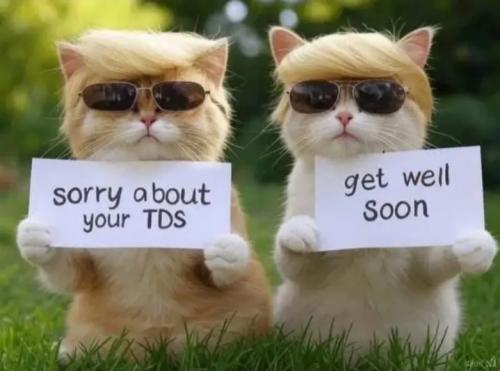 Screenshot_20250203_170652_YouTube