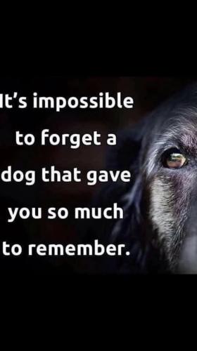 FB_IMG_1739788766854