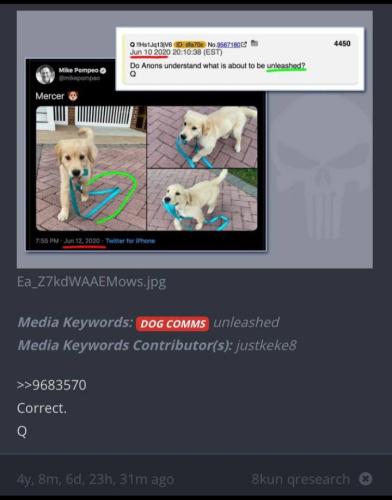 photo_2025-02-27_22-35-51 (2)