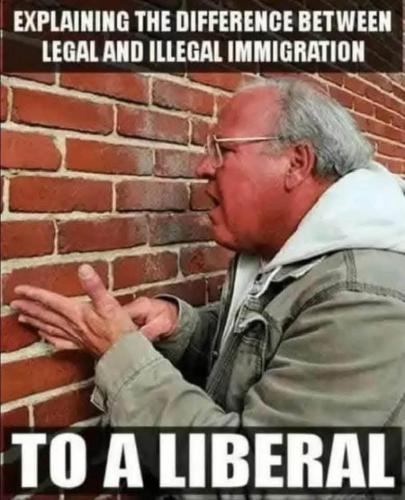 FB_IMG_1739045695747