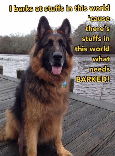 FB_IMG_1739817385476