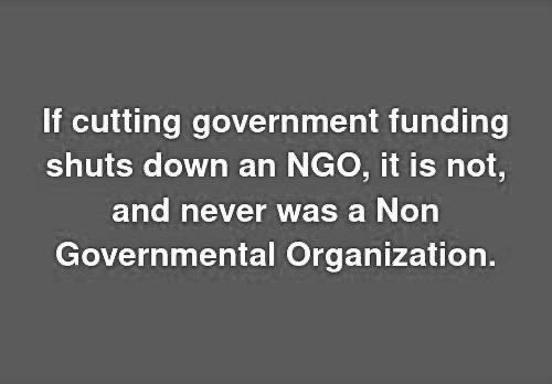 NON NGO NGO's