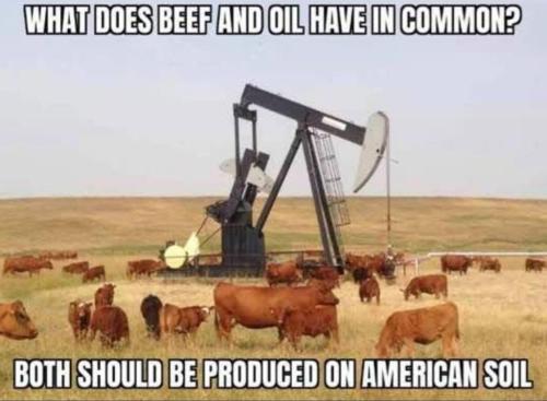 3CDA4FF8-AB53-4D40-A5D7-0AB52B6AA6F0