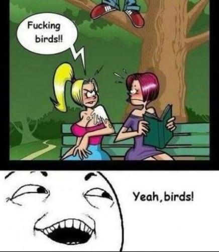 29EC9FB1-1F62-4134-8400-E303D3FEDB88