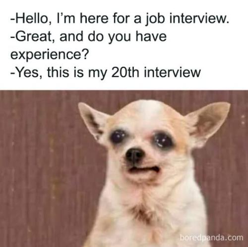 do you have experience