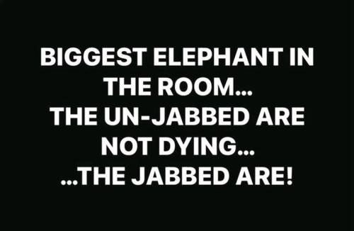 d22051d630d541b6764ea73c94e27c9e