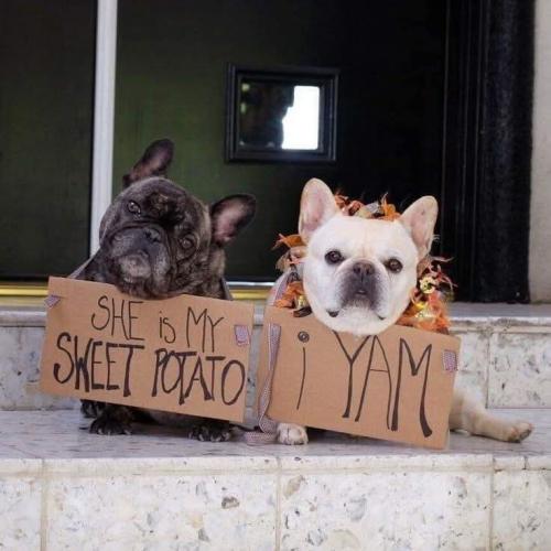 FB_IMG_1739634415970