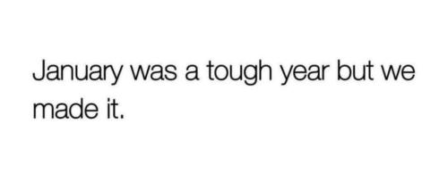 photo_2025-02-01_22-12-56