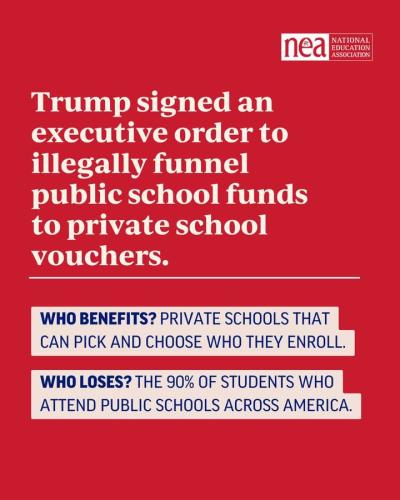 FB_IMG_1739644323183