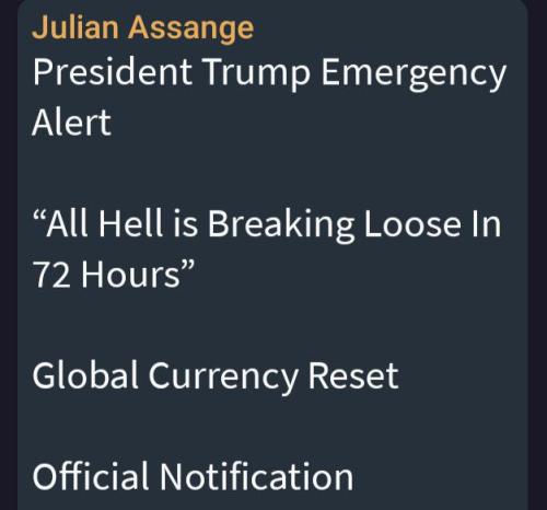 IMG_20250213_044508_857