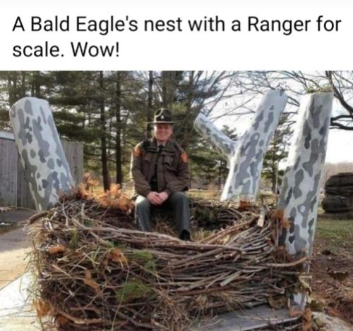 Screenshot_20250221_074125_Gallery