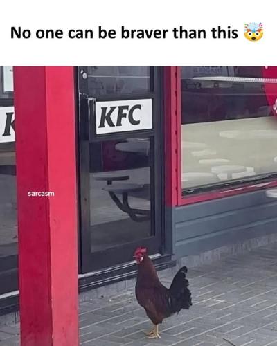 476822660_1143516167238905_1658103642800469447_n