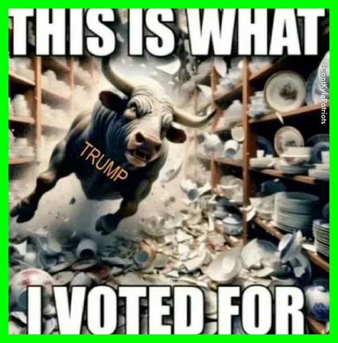 IMG_20250203_160540_430