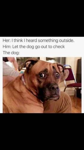 FB_IMG_1740610955357