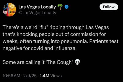 photo_2025-02-12_21-15-17